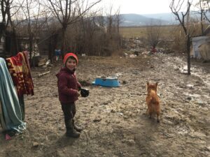 Read more about the article Ziua 15 – Noroi