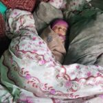 Ziua 307 – Inapoi in Negresti